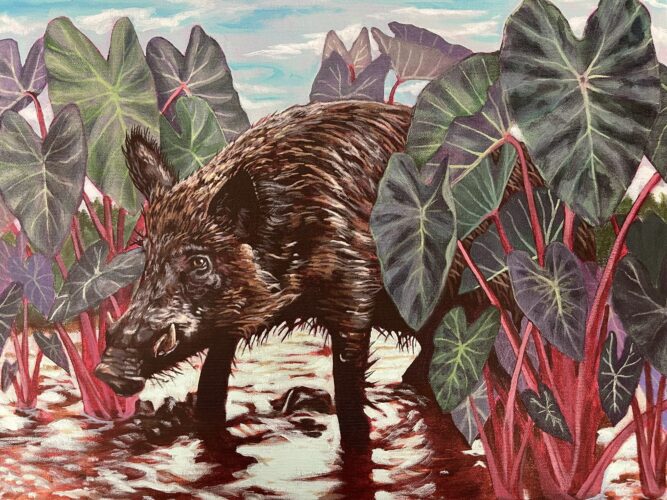 Hawaii wildlife stamps highlight wild boar, valley quail